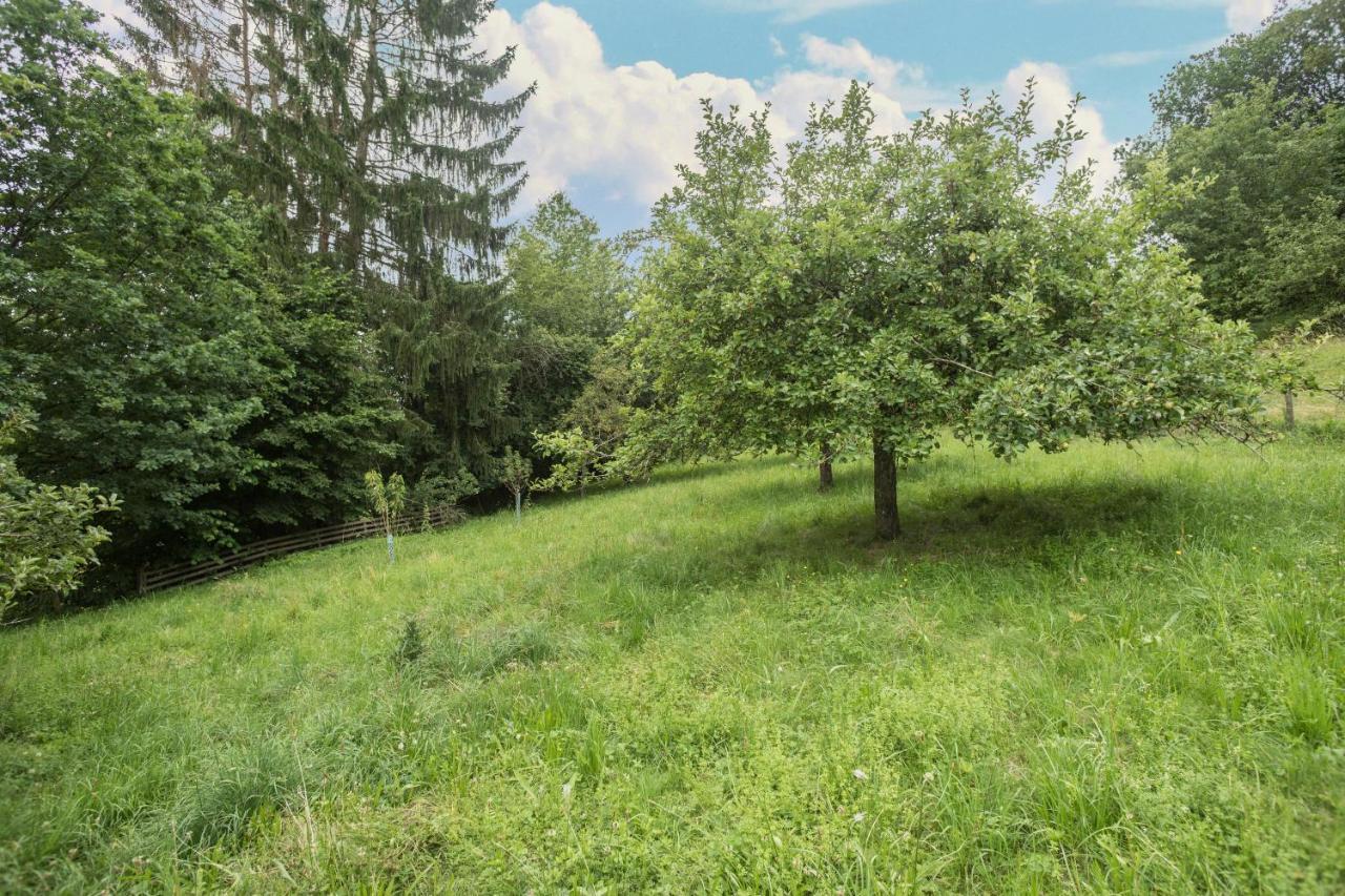 Haus Afaldra Mengen Esterno foto